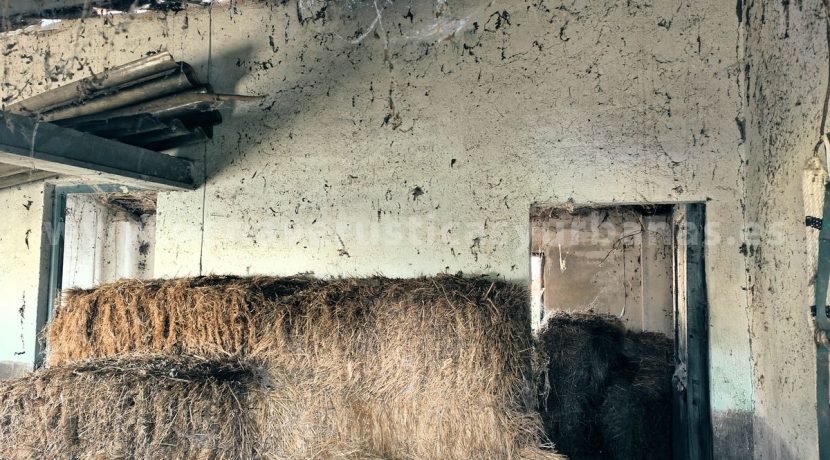 IMG20250703084930_result