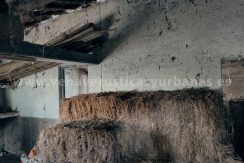 IMG20250703084946_result