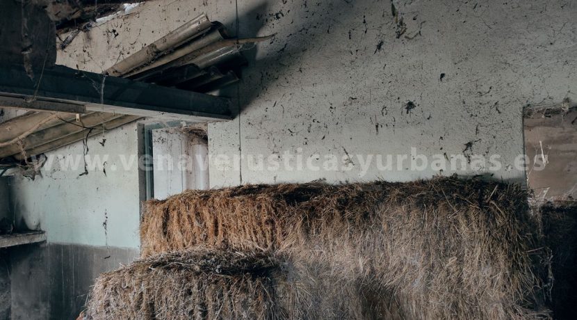 IMG20250703084946_result