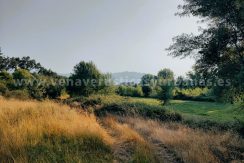 IMG20250703085108_result