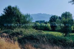 IMG20250703085113_result