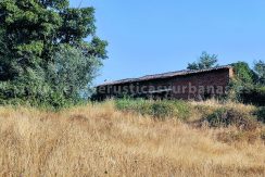 IMG20250703085131_result