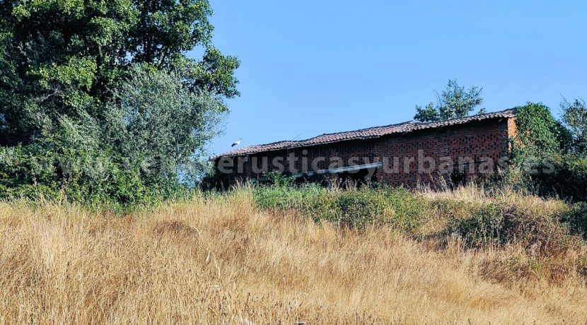 IMG20250703085131_result