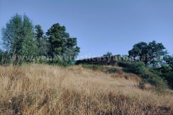 IMG20250703085137_result