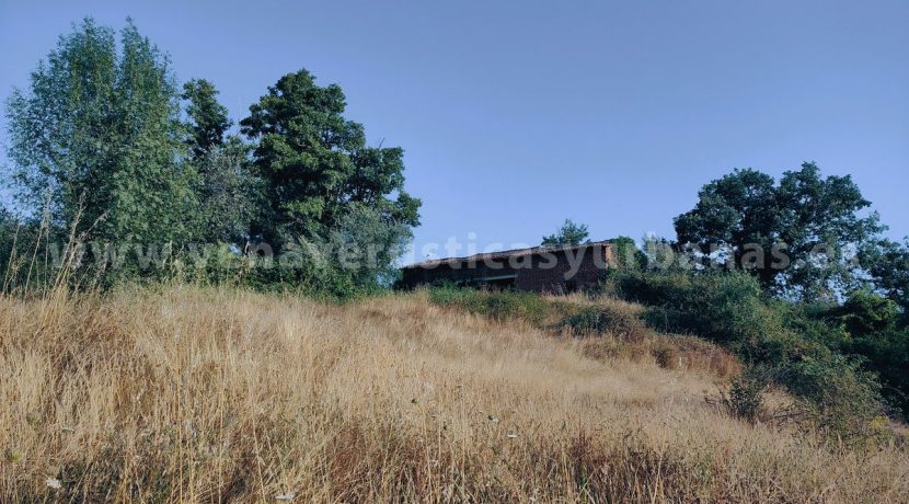 IMG20250703085137_result