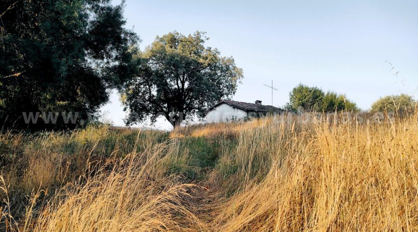 IMG20250703085147 (1)_result