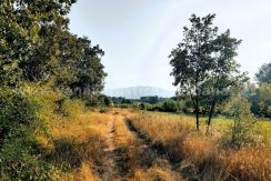 IMG20250703085328_result