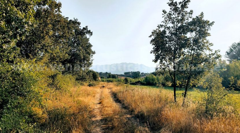 IMG20250703085328_result