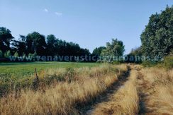 IMG20250703085417_result