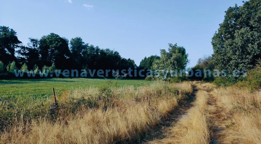 IMG20250703085417_result