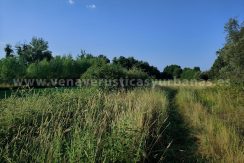 IMG20250703085612_result