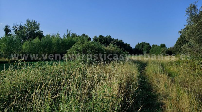 IMG20250703085612_result