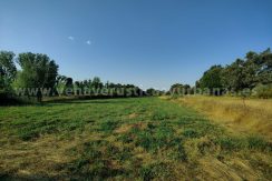 IMG20250703085743_result