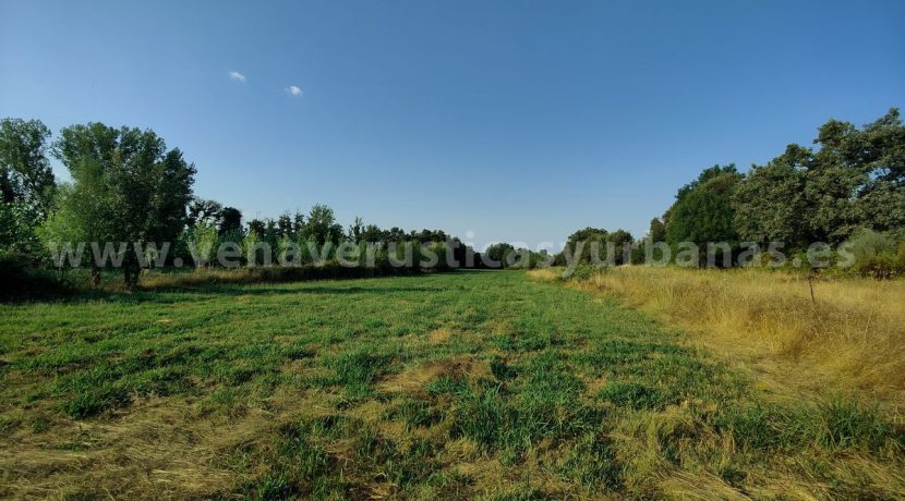 IMG20250703085743_result