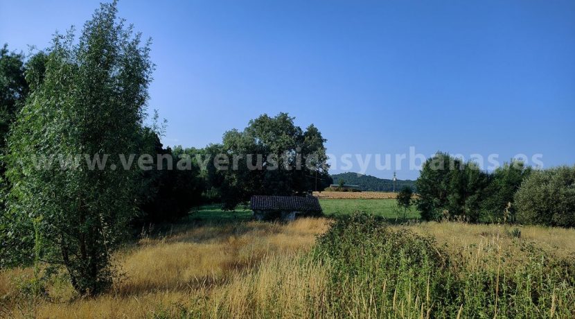 IMG20250703090616_result