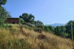 IMG20250703091056_result