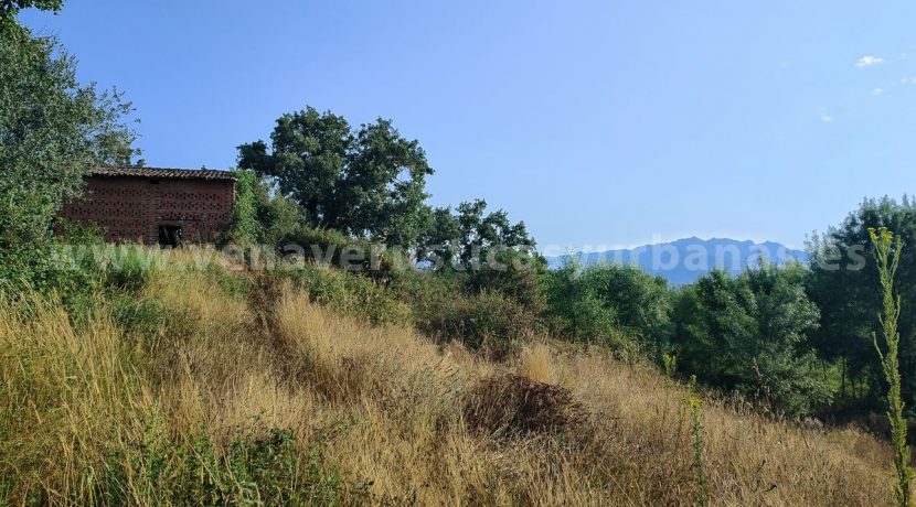 IMG20250703091056_result