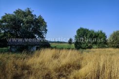 IMG20250703091125_result