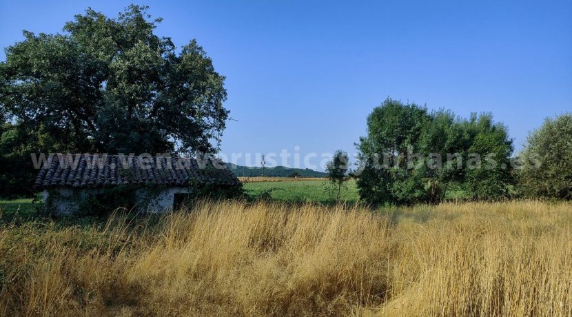 IMG20250703091125_result