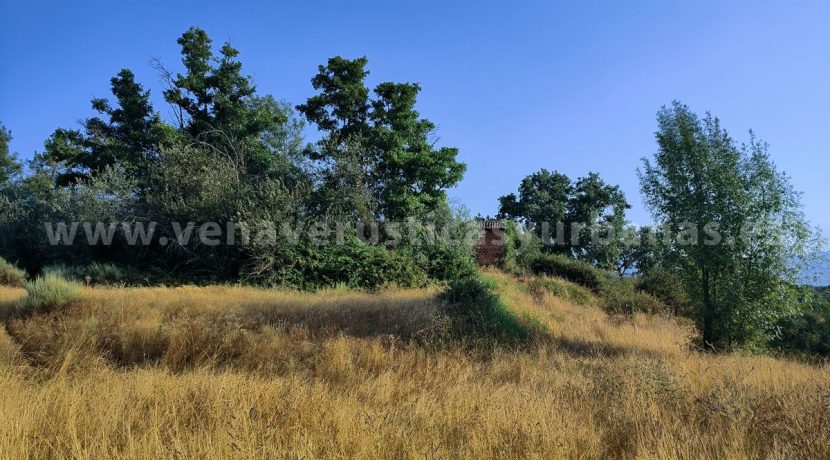 IMG20250703091137_result