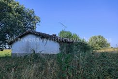 IMG20250703091202_result