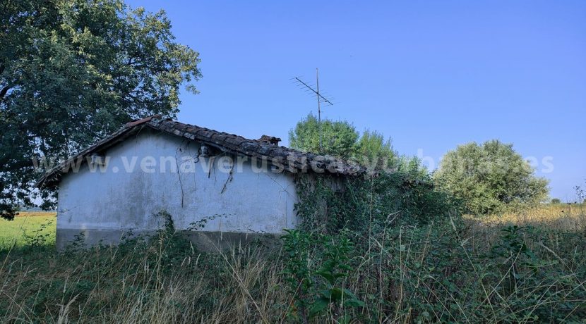 IMG20250703091202_result