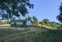 IMG20250703091239_result