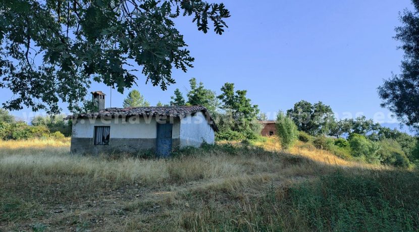 IMG20250703091239_result