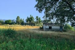 IMG20250703091429_result