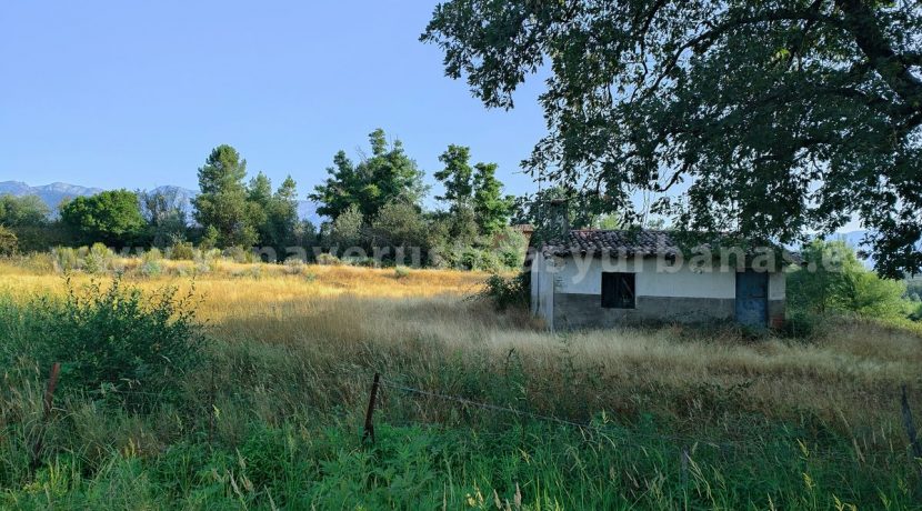 IMG20250703091429_result