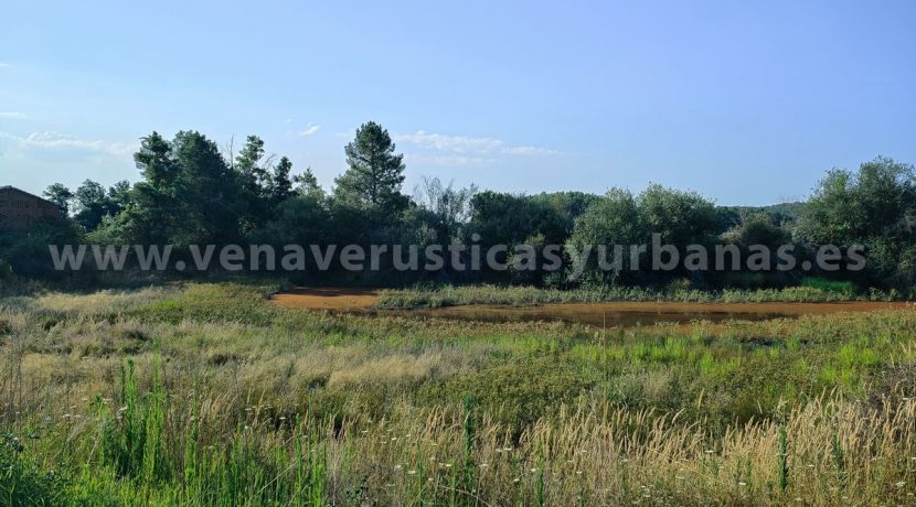 IMG20250703091906_result