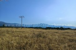 IMG20250703092109_result