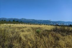 IMG20250703092224_result