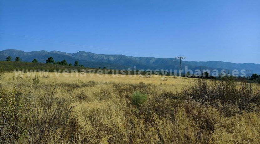 IMG20250703092224_result