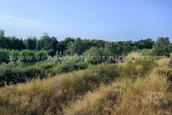 IMG20250703092351_result