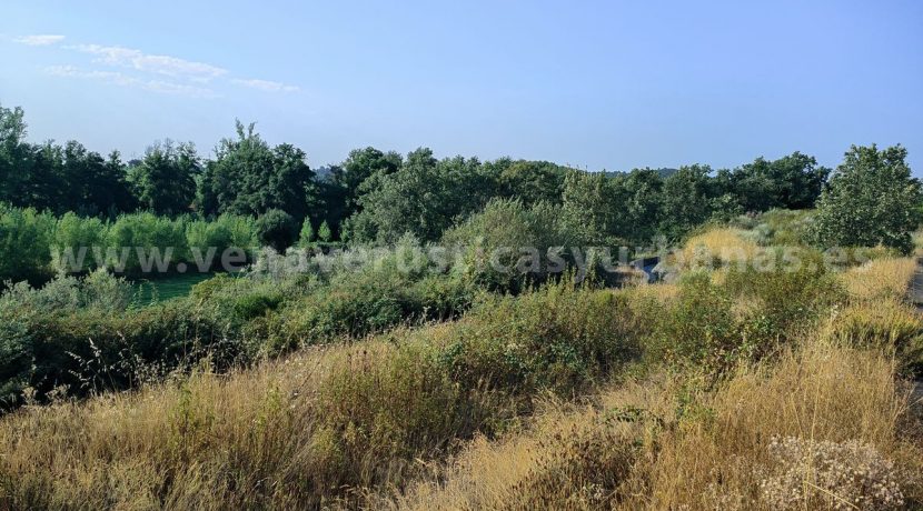 IMG20250703092351_result