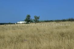 IMG20250703092814_result