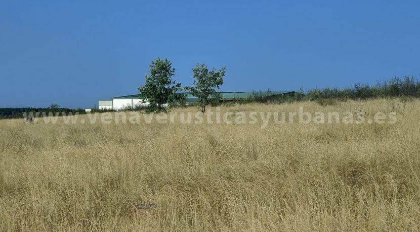 IMG20250703092814_result