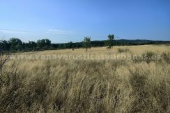 IMG20250703093330_result