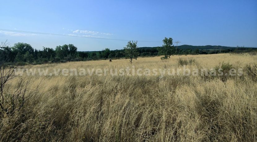 IMG20250703093330_result