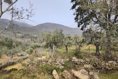 IMG20260304132028_result