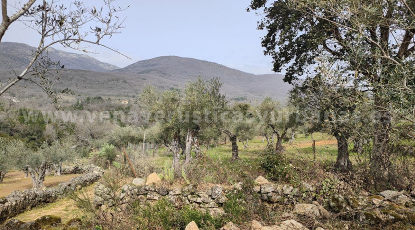 IMG20260304132028_result