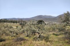 IMG20260304132104_result