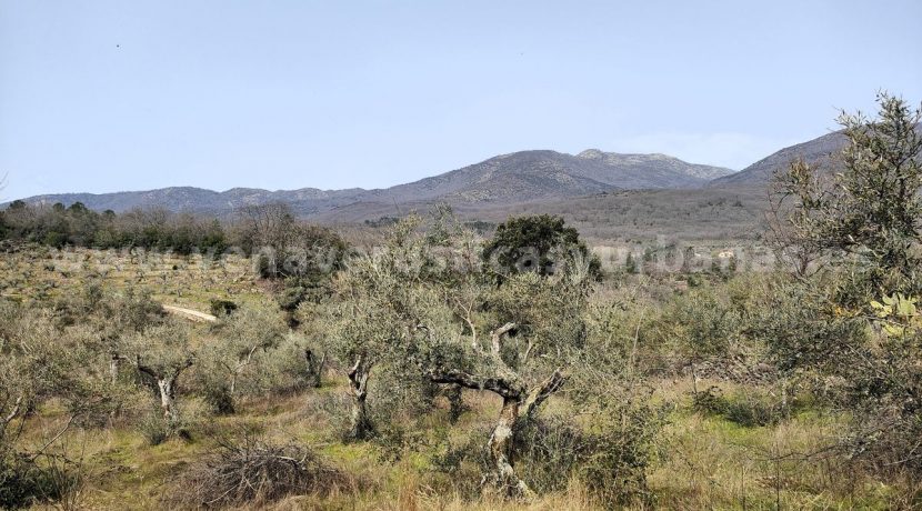 IMG20260304132104_result