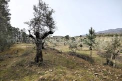 IMG20260304132138_result