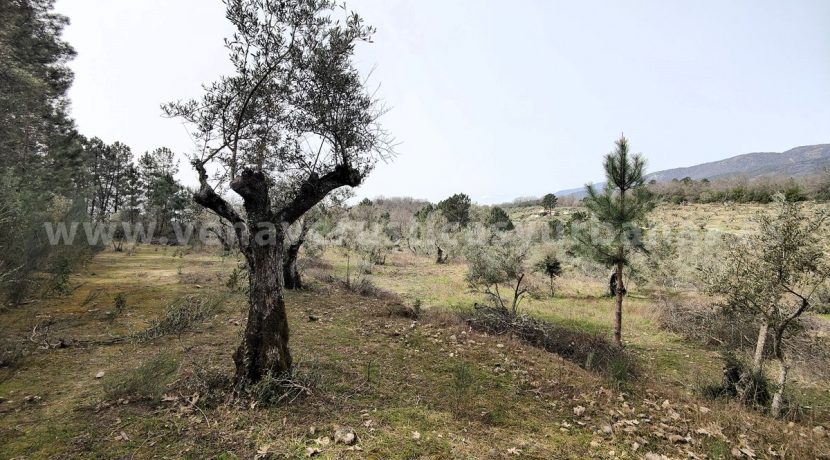 IMG20260304132138_result