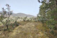 IMG20260304132229_result