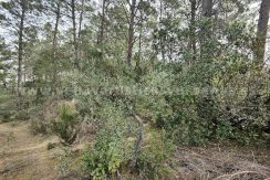 IMG20260304132324_result