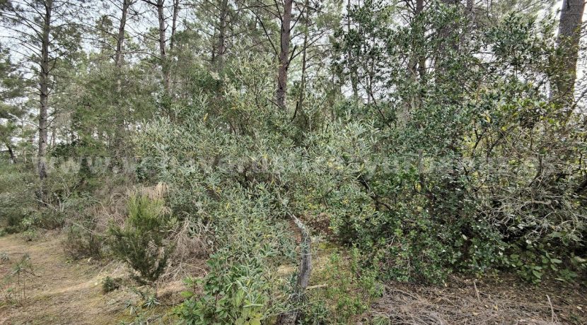 IMG20260304132324_result