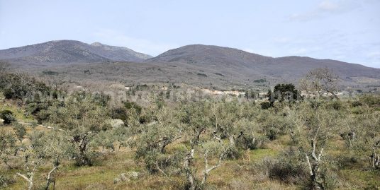 A LA VISTA DE LA VILLA